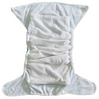 Fancy Pants Bamboo Nappy with Microfibre Inserts, Splash (Turquoise)